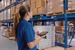 Gestión de artículos Software Versandhandel COSYS